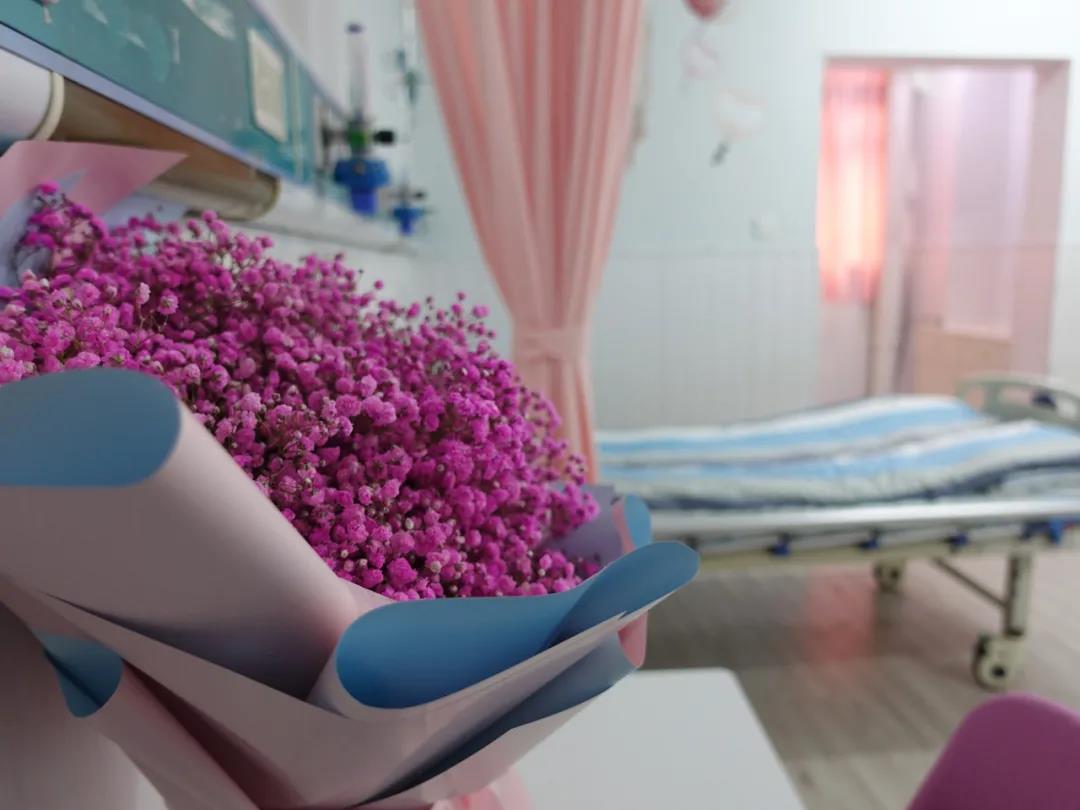 病房里的鲜花真实图片-图库-五毛网