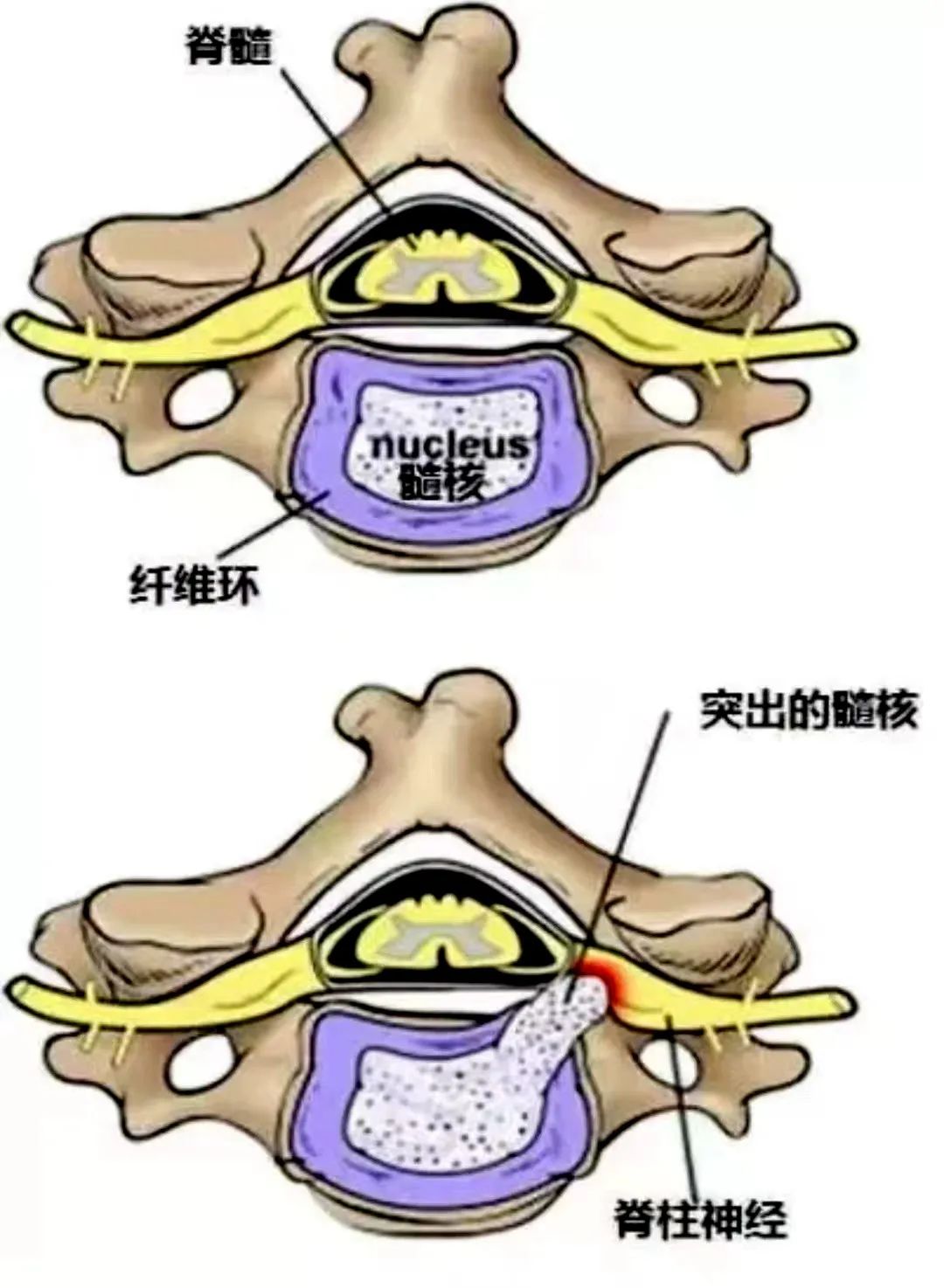 微信图片_20220711082246.jpg