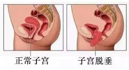 微信图片_20220713154215.jpg