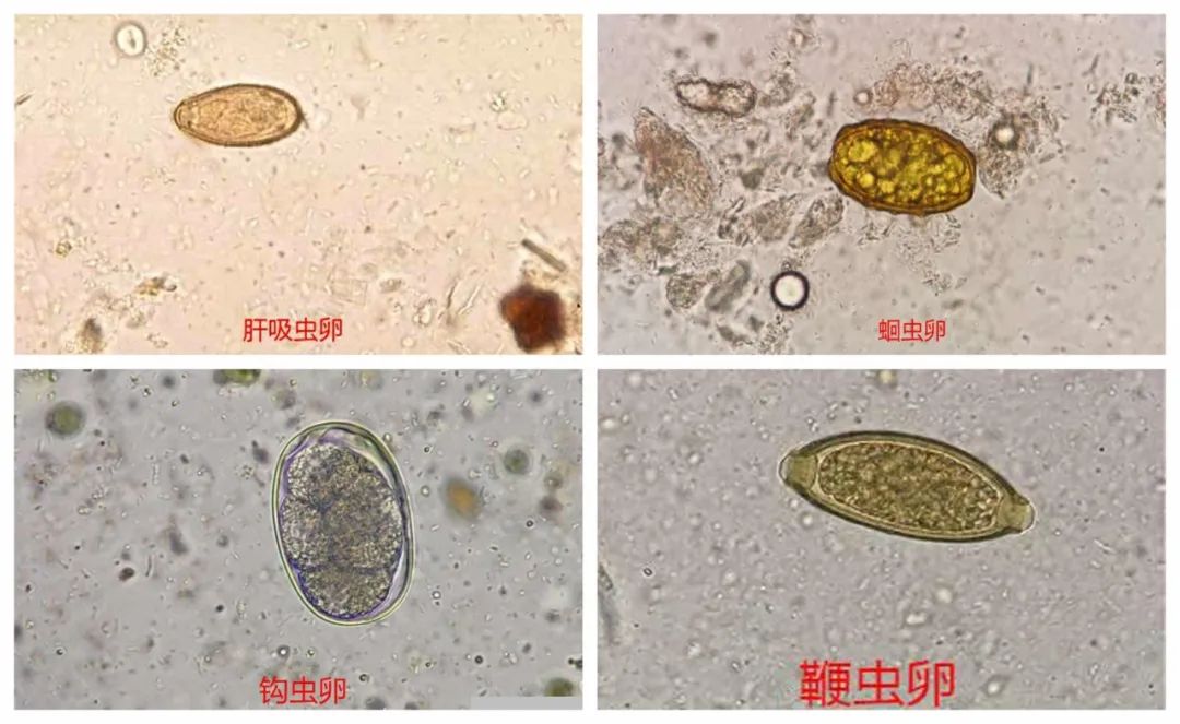 微信图片_20220729161823.jpg