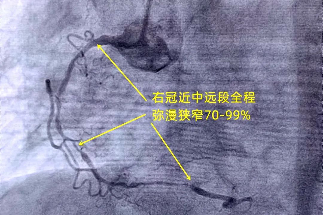 微信图片_20221202094236.jpg