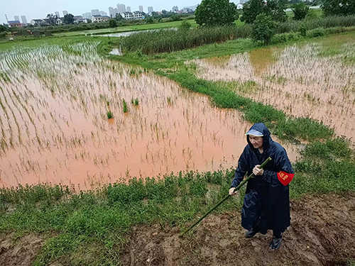 荀.jpg