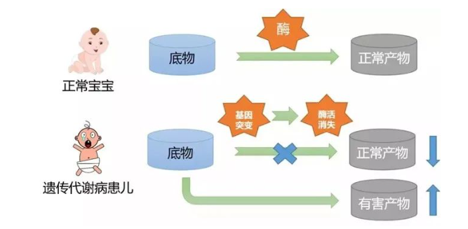 微信图片_20240723081732.png