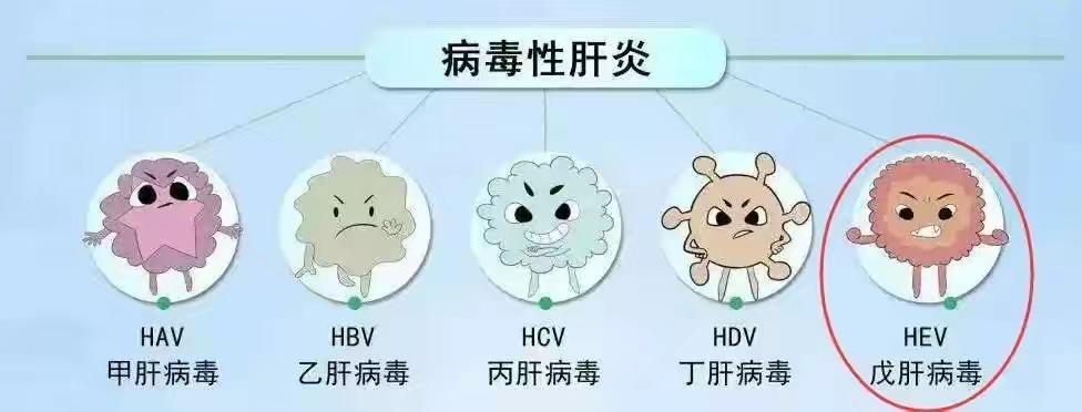 b5ee9aeb8562415cb50a737b29972f2depand__jpg.heic~tplv-flrovnc8r8-s2-cC-q_0_0_0_0_q0.jpg