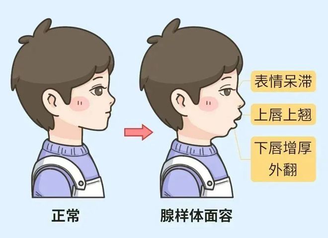 下载.jpg