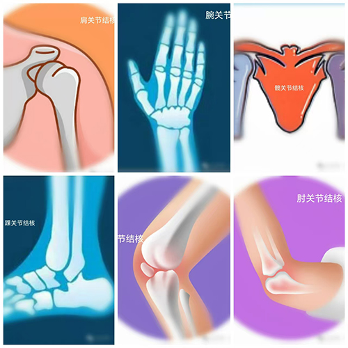 微信图片_20241029144549.jpg