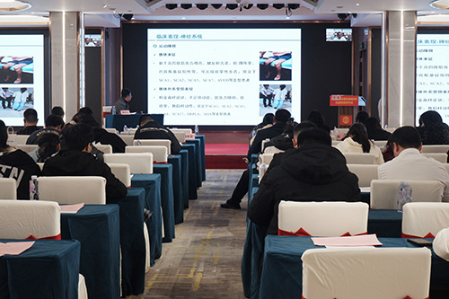 江泓.jpg