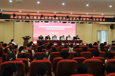岳阳地区基层糖尿病管理策略会议成功举办