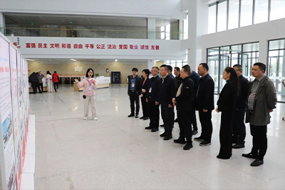 岳阳市卫健委领导莅临我院调研指导医共体建设工作