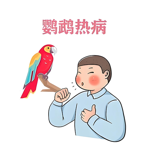微信图片_20250411090436.png